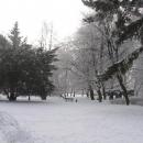 Park Źródliska in Winter 2