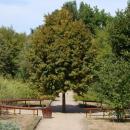 Botanical garden – Łódź (4)
