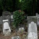 Jewish cemetery Lodz IMGP6654