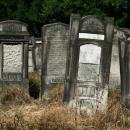Jewish cemetery Lodz IMGP6632