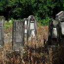 Jewish cemetery Lodz IMGP6623
