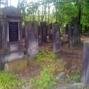 Łódź Jewish Cemetery 24