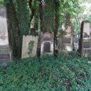 Tombstones in Jewish Cemetery - Lodz - Poland (9240929634)