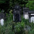 Jewish cemetery Lodz IMGP6704