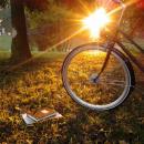 Bike on grass, autumn02