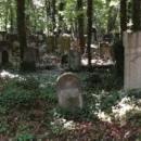 Panorama of Tombstones in Jewish Cemetery - Lodz - Poland (9238153875)