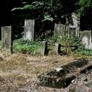 Jewish cemetery Lodz IMGP6686