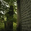 Cmentarz żydowski łódź 2