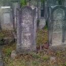 Łódź Jewish Cemetery 27