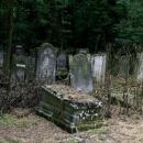 Jewish cemetery Lodz IMGP6663
