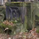 New Jewish Cementery(Lodz) 38 (js)