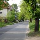 Nowe Sady Street in Łódź (7)